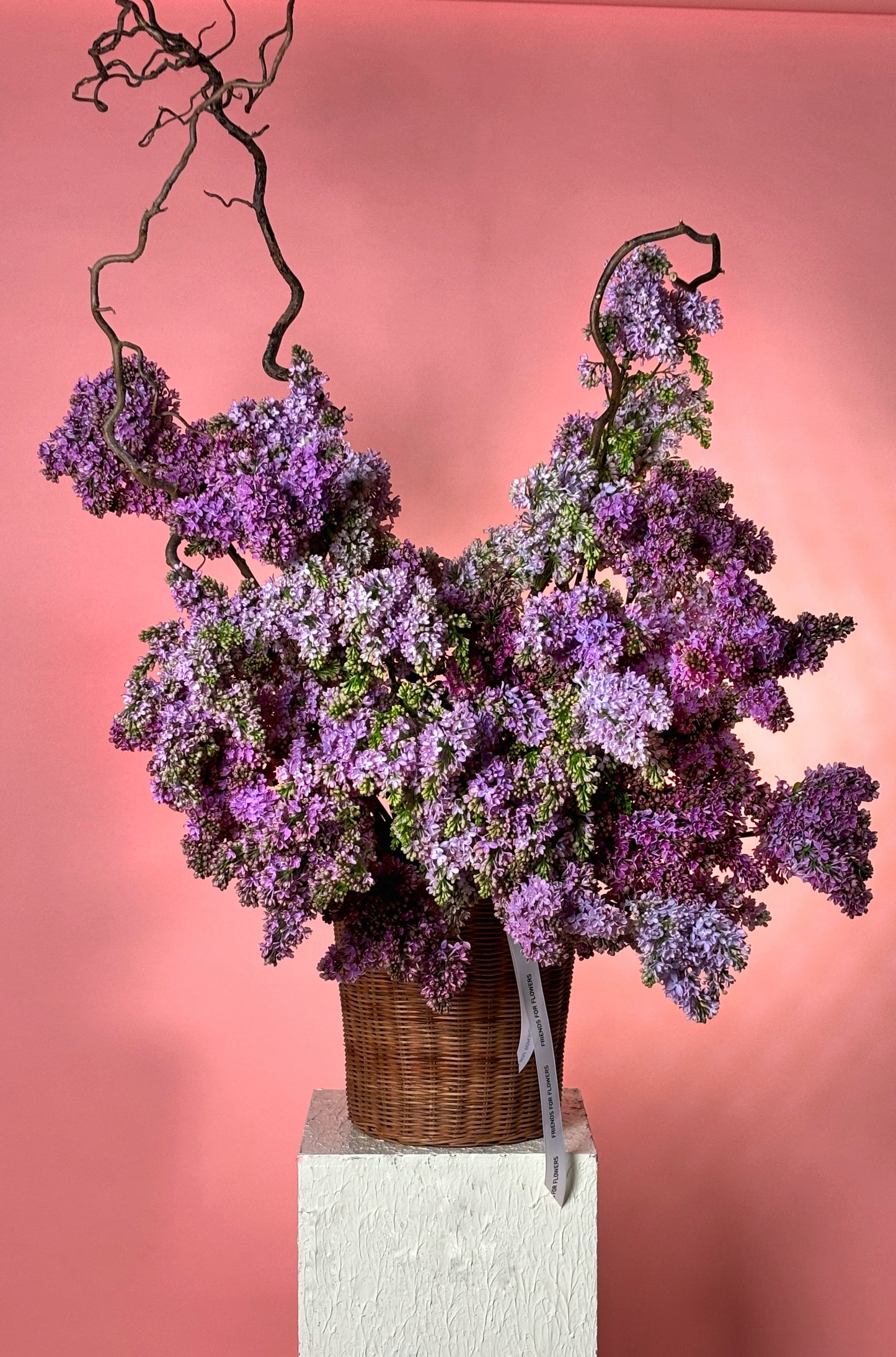 Basket of Syringa